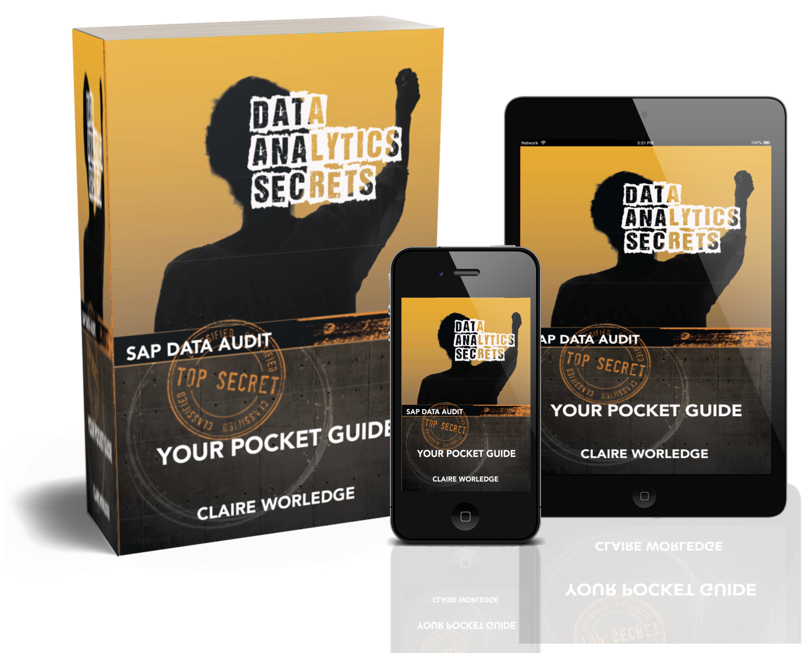 Data Analytics Secrets Book - Image 2